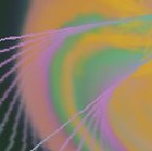 Picture for song 'Winter Wind - jazz instrumental' by artist 'Loren'