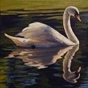 Picture for song 'Swan Reflection' by artist 'luima'