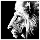 Picture for song 'Been in this game' by artist 'Lumo-Da-Great'