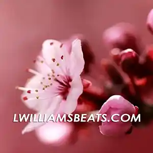 Picture for song 'Sensei (Buy 1 Get 4 Free)' by artist 'LWilliamsBeats'