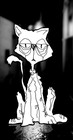 Picture for song 'Alleykatz Roam (south)' by artist 'Mackd Out Musik'