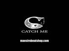 Picture for song 'Catch Me - www.maestrobeatshop.com' by artist 'MAESTRO THE BEAT MAKER'