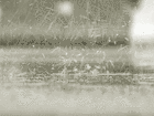 Picture for song 'Pen-Ace - Pain in the RAIN' by artist 'Mafia Relations (OC)'