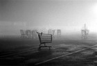 Picture for song 'A Dream Sequence ( Maggott's )' by artist 'Maggott Clouds And The Pierce Arrows'