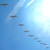 Picture for song 'Birds of a Feather' by artist 'Mahachakra'