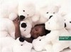 Picture for song 'Baby Days' by artist 'majikboy7'