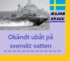 Picture for song '11. Unknown submarine in Swedish waters' by artist 'Major Snagg'