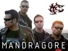 Picture for song 'ERRANTE' by artist 'mandragore'