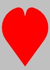 cover pic
