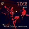 Picture for song 'Johnny Jump Up (Live 2009)' by artist 'Marc Gunn'
