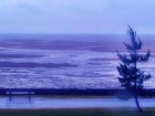 Picture for song 'Lost in Blue (bare bones version)' by artist 'Maria Daines'