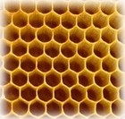 Picture for song 'Honeycomb' by artist 'mattwill75'
