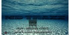 Picture for song 'SOMETHING NEW- snipet' by artist 'MD TRAXX BEATS.COM'