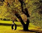 Picture for song 'bring back the time' by artist 'MecKropono'