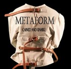 Picture for song 'Yesterday's Man' by artist 'Metaform'