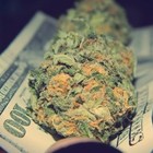 Picture for song '*HOOD*.:: Kush In My Pocket ::.' by artist 'Mighty Hype'