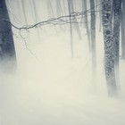 Picture for song 'A Cold Wind Blows (by Swampman)' by artist 'Mikejazz'