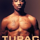 Picture for song 'NEW *Inspiration* Head Up' by artist 'Mikespro'