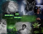 Picture for song 'Take A Puff FT/ SUNNi B0i D - DAW J0NES' by artist 'Missz Peachesz'