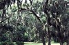 Picture for song 'Boundsouth' by artist 'Moe Decker'
