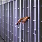Picture for song 'Prison Letter(Big Krit Type Beat)' by artist 'Monsta Mayne'
