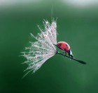 Picture for song 'Atmosphere' by artist 'Mortalsound'