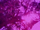 Picture for song 'Tranquility (Commercial Version)' by artist 'Mourn For Martyrs'