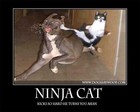 Picture for song 'Instrumental - Sneaky Ninja' by artist 'MrBrooks'