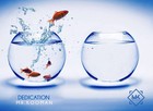 Picture for song 'Dedication' by artist 'Mr.Kooman'