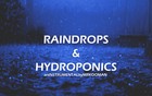Picture for song 'Raindrops & Hydroponics' by artist 'Mr.Kooman'