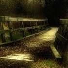 Picture for song 'South Circle - Final Call' by artist 'Mr.Mr. Mike'