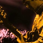 Picture for song 'Rock & Bullsh#t' by artist 'MTNTv'