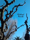Picture for song 'SOUL' by artist 'Multilevel Records'