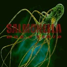 Picture for song '*Banger* Salmanila' by artist 'Music Martyr'