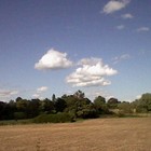 Picture for song ''Daydreaming'' by artist 'Nadia Cripps'