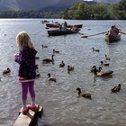 Picture for song ''Enchanted Lake' / W Sheila Kaufman' by artist 'Nadia Cripps'