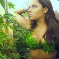 Picture for song 'Nasty beats- High Times' by artist 'nastybeatsbg'