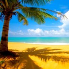 Picture for song 'Summer Time (SOLD)' by artist 'Nasty Beatz Prod.'