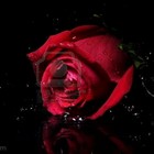 Picture for song 'All My Love' by artist 'NBeat Music'