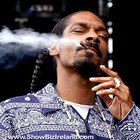 Picture for song 'SMOKIN WEED FREE BEAT!!! reggae style' by artist 'Nedro'
