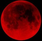 Picture for song 'Paralarm' by artist 'Nikaena Vizukae III'