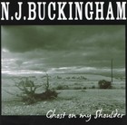 Picture for song 'Cruel Tide' by artist 'N J Buckingham'