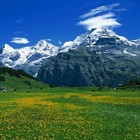 Picture for song 'Delicate Flowers' by artist 'North Paradise Production'