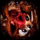 Picture for song 'Flesh Animation' by artist 'Optimistik'