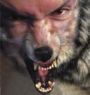 Picture for song 'Werewolf Moan' by artist 'Original Tunes'