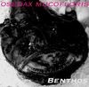 Picture for song 'Vampyroteuthis Infernalis' by artist 'osedax mucofloris'