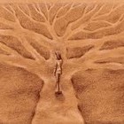 Picture for song 'How Many Roads - White Boii' by artist 'Outback Cracka Productions'