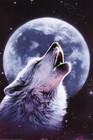 Picture for song 'Fletus Astrum (Crying stars)' by artist 'Overcharged'