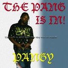 Picture for song 'joey crak(the pang is in)' by artist 'pangy'