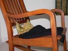Picture for song 'New Rocking Chair' by artist 'Papagato'